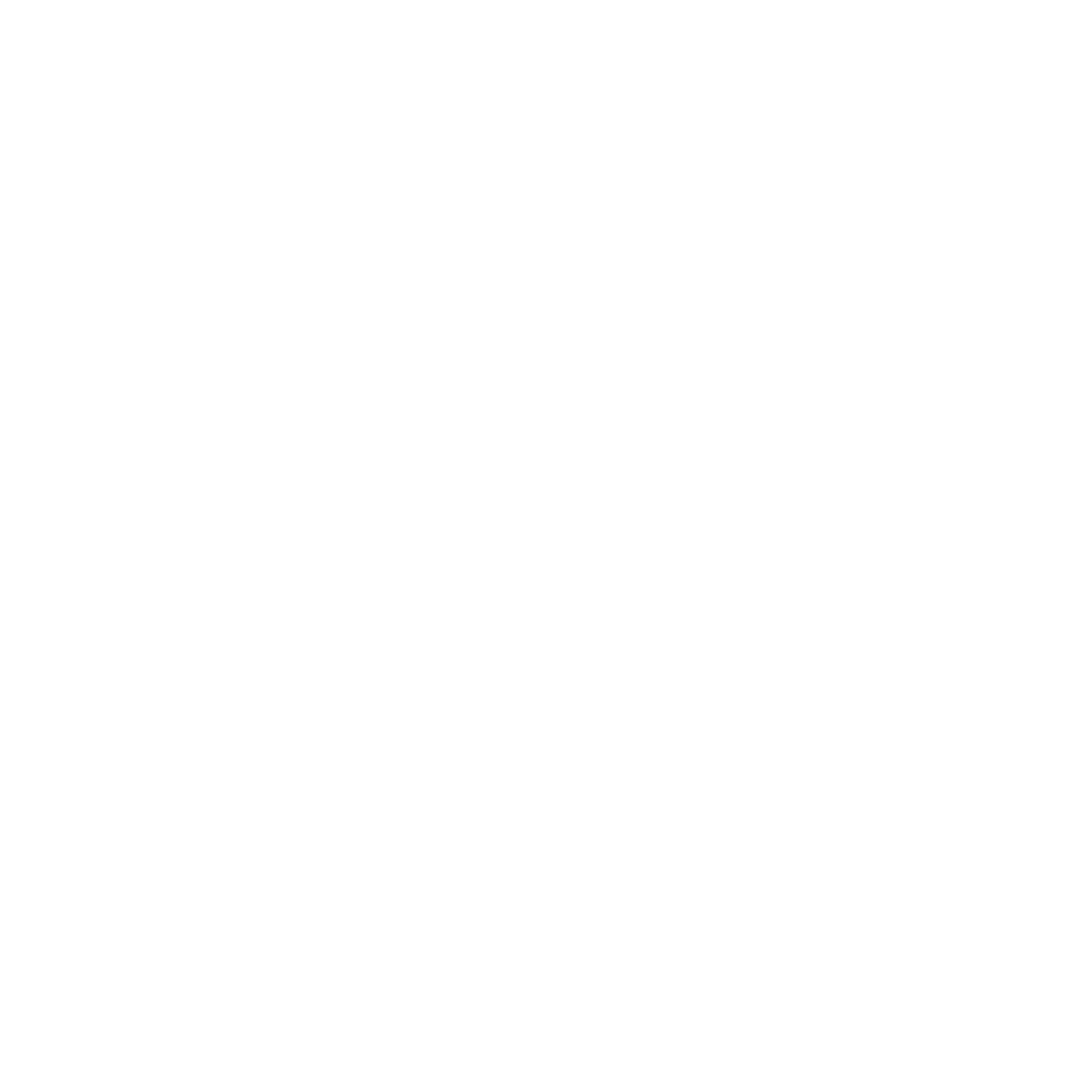 SecureVibe Logo